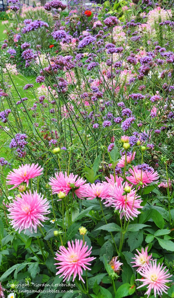 Amiens is certainly a place to enjoy flowers