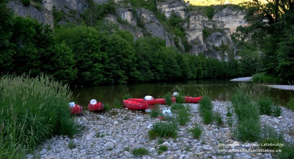 beaver canoes